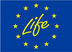 Logo LIFE web 2